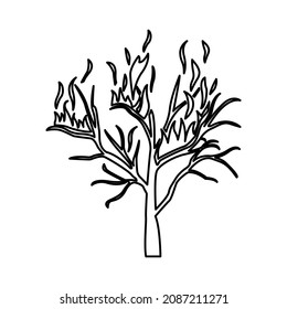 forest fires icon, coniferous forest, vector illustration