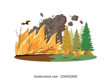 Forest Fires Illustration concept on white background
