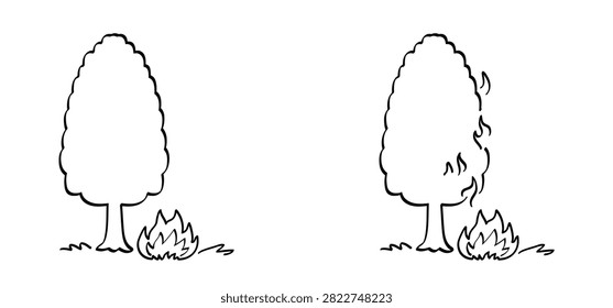 Forest fires  wildfires