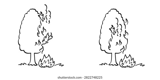 Forest fires  wildfires