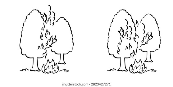 Forest fires  wildfires