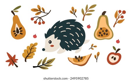 Forest flora and fauna. Seasonal fall harvest. Hedgehog, dry leaves, twigs, fruits and berries. Hand drawn vector illustration