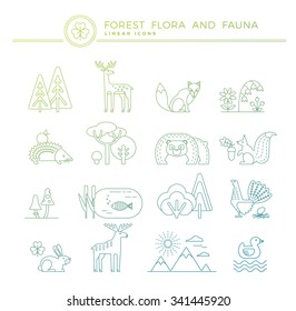 Forest flora and fauna. Set of linear vector icons.Trendy graphic style.