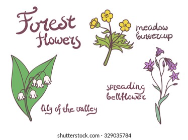 Forest flowers set. Isolated illustration with lettering 