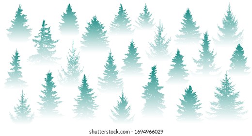 Forest in the fog. Isolated Christmas tree in misty forest on a white background. Vector illustration