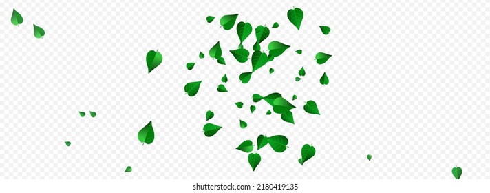 Forest Foliage Abstract Vector Panoramic Transparent Background Design. Wind Greens Brochure. Mint Leaves Herbal Concept. Leaf Forest Border.