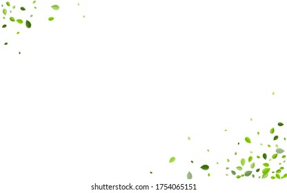 Forest Foliage Abstract Vector Pattern. Realistic Leaves Banner. Grassy Leaf Ecology Wallpaper. Greens Tea Border.