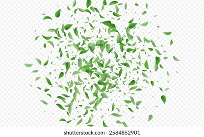 Forest Foliage Abstract Vector Transparent Background Poster. Motion Leaf Template. Swamp Leaves Falling Branch. Greens Blur Backdrop.