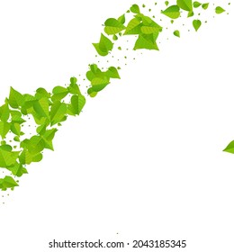 Abstrakter Vektorhintergrund aus Wäldern, abstrakter Hintergrund. Fallende Grüne Tapete. Zweig der Zitronenleder im Wald. Vorlage für den leaf-Antrag.