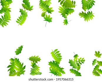 Forest foliage beautiful vector illustration. Tropical forest foliage macro. Rowan and maple leaves composition. Herbal natural background. Plant elements simple vector.