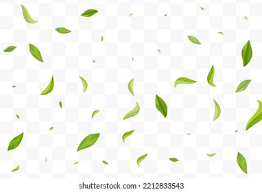 Diseño de fondo transparente del vector de desenfoque del follaje forestal. Papel tapiz de la hoja de primavera. La Ilustración Abstracta De Las Hojas De Pantano. Folleto de la caída de los verdes.