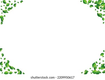 Fondo blanco del vector de desenfoque del follaje forestal. Cartel de Swirl Leaves. Folleto fresco de hojas de oliva. Fondo de árbol verde.