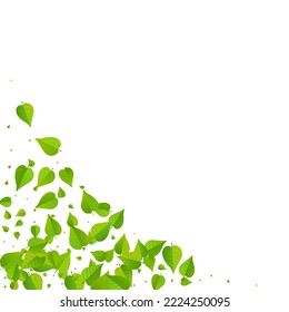Forest Foliage Blur Vector White Background Poster. Herbal Greens Branch. Green Leaf Tea Pattern. Leaves Flying Concept.