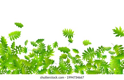 Forest foliage bright vector illustration. Tropical forest foliage closeup. Rowan and maple leaves falling. Botanical natural wallpaper. Fresh floral abstract backdrop.