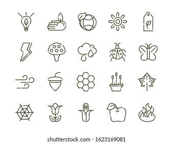 forest foliage ecology nature line design icons set vector illustration