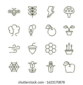 forest foliage ecology nature line design icons set vector illustration