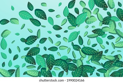 Forest Foliage Ökologie Vektorblauer Hintergrund-Grenze. Realistisches Leaf-Konzept. Mint Greens Organic Poster. Blättert pflanzliche Vorlage.