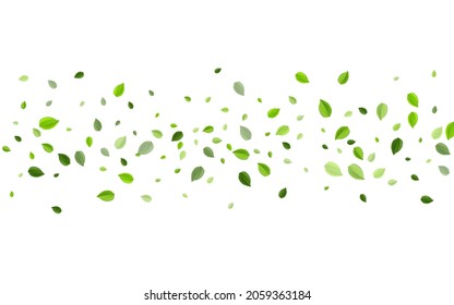 Forest Foliage Ecology Vector Plant. Tea Leaf Illustration. Green Leaves Flying Branch. Greens Realistic Poster.