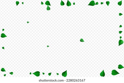 Forest Foliage Ecology Vector Transparent Background Pattern. Swirl Leaves Border. Swamp Greens Flying Design. Leaf Fresh Template.
