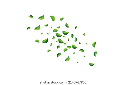 Fondo blanco del vector ecológico de follaje forestal. Diseño de hojas voladoras. Pancarta verde fresca. Deja el fondo orgánico.