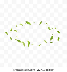 Forest Foliage Falling Vector Transparent Background Brochure. Tree Greens Template. Green Leaves Wind Border. Leaf Fresh Design.