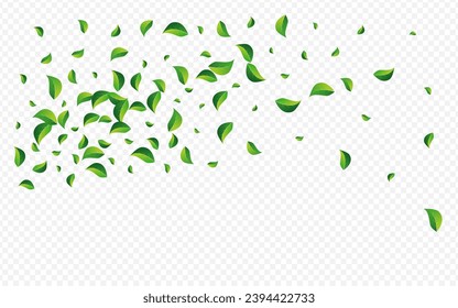 Fondo Transparente Del Vector De Caída Del Foliage Forestal. Ilustración De Swirl Leaf. Grassy deja papel tapiz de la naturaleza. Patrón realista de los Verdes.