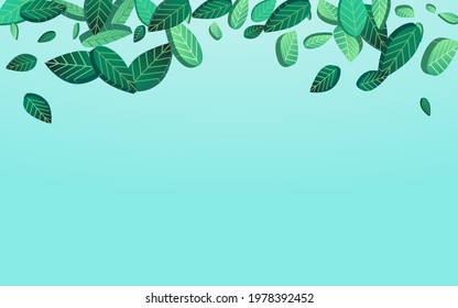 Forest Foliage Fly Vector Blue Background Wallpaper. Tea Greens Poster. Olive Leaf Forest Brochure. Leaves Blur Border.