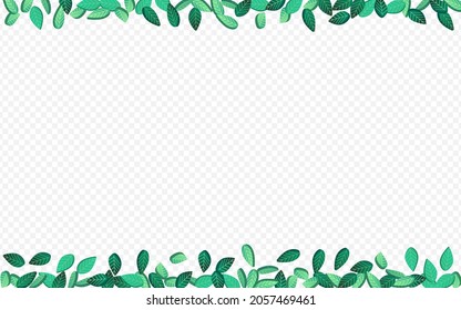 Forest Foliage Fly Vector Transparent Background Concept. Transparent Greens Plant. Swamp Leaves Realistic Illustration. Leaf Ecology Banner.