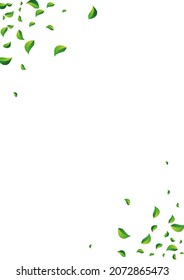 Fondo blanco del vector de volante del bosque. Ilustración realista de Verdes. La Plantilla De Saltos Grassy Cae. Papel tapiz de Leaf Motion.