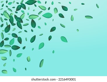 Forest Foliage Flying Vector Blue Background Banner. Tea Greens Wallpaper. Mint Leaves Fresh Backdrop. Leaf Fly Design.