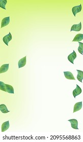 Forest Foliage Flying Vector Green Background Design. Organic Leaves Pattern. Mint Greenery Swirl Branch. Leaf Motion Template.