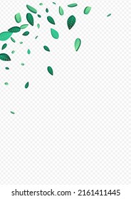 Forest Foliage Flying Vector Transparent Background Wallpaper. Motion Leaf Border. Grassy Greens Fly Poster. Leaves Forest Design.