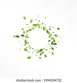 Forest Foliage Fresh Vector White Background Template. Spring Greenery Brochure. Lime Leaves Realistic Plant. Leaf Wind Illustration.