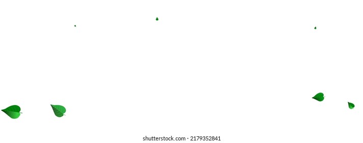 Forest Foliage Herbal Vector Panoramic White Background Design. Fly Leaves Backdrop. Green Leaf Tree Branch. Greens Spring Pattern.
