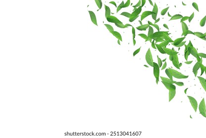 Forest Foliage pflanzlichen Vektor weißen Hintergrund Poster. Ökologie hinterlässt Banner. Sumpf Grün Fliege Vorlage. Blatt-Teemuster.