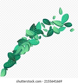 Forest Foliage Motion Vector Transparent Background Template. Realistic Greens Plant. Green Leaf Tree Background. Leaves Blur Concept.