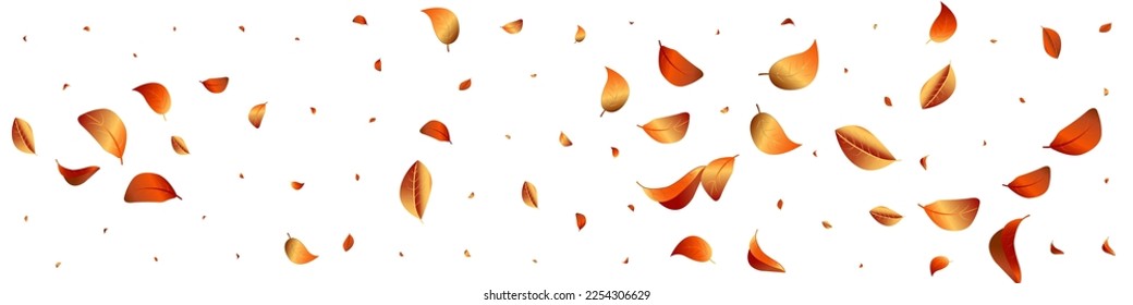 Forest Foliage Motion Vector White Panoramic Background Illustration. Swirl Leaves Template. Golden Solar Abstract Backdrop. Leaf Herbal Design.