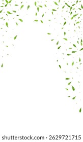 Forest Foliage Motion Vector White Background Illustration. Falling Greens Plant. Swamp Leaves Abstract Concept. Leaf Wind Wallpaper.