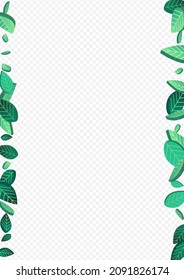 Forest Foliage Nature Vector Transparent Background Plant. Blur Leaves Branch. Grassy Greens Tea Backdrop. Leaf Tree Pattern.