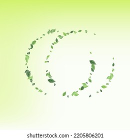 Forest Foliage Organic Vector Green Background Pattern. Falling Greenery Design. Olive Leaf Swirl Branch. Leaves Flying Plant.