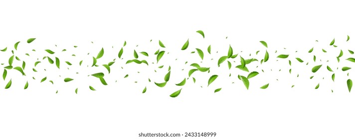 Forest Foliage Organic Vector Panoramic White Background Concept. Abstract Leaf Design. Mint Greens Transparent Pattern. Leaves Fresh Backdrop.