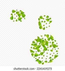 Forest Foliage Organic Vector Transparent Background Design. Abstract Greens Pattern. Swamp Leaf Motion Illustration. Leaves Tree Brochure.