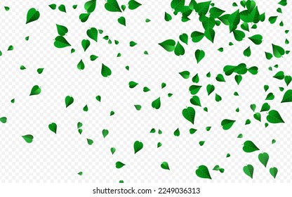 Forest Foliage Organic Vector Transparent Background Border. Flying Leaf Backdrop. Olive Greens Ecology Brochure. Leaves Tree Template.