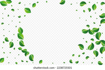 Forest Foliage Realistic Vector Transparent Background. Abstract Greens Concept. Lime Leaves Tree Border. Leaf Blur Pattern.