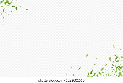 Forest Foliage Realistic Vector Transparent Background Illustration. Forest Greens Wallpaper. Grassy Leaf Spring Concept. Leaves Organic Template.