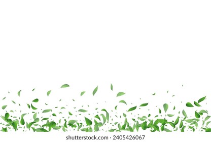 Forest Foliage Realistic Vector White Background Backdrop. Forest Greens Banner. Mint Leaves Ecology Illustration. Leaf Motion Pattern.