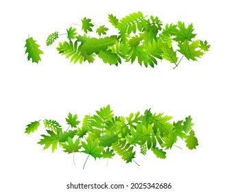 Forest foliage rustic vector composition. Tropical forest foliage macro. Mix of many different leaves isolated. Botanical eco wallpaper. Fresh floral delicate vector.