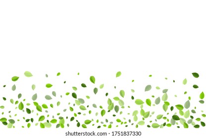Forest Foliage Spring Vector Concept. Abstract Leaves Design. Grassy Leaf Organic Background. Greens Transparent Illustration.