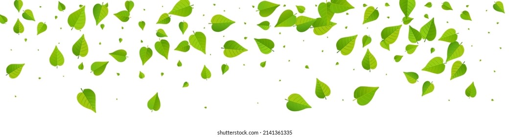 Forest Foliage Spring Vector Panoramic White Background Brochure. Organic Leaves Design. Mint Greens Wind Plant. Leaf Tea Branch.
