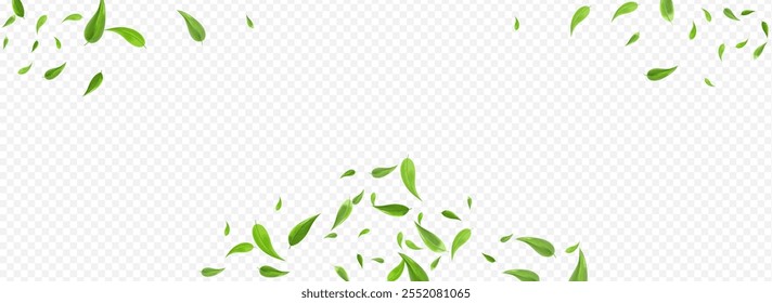 Forest Foliage Spring Vector Panoramic Transparent Background Template. Swirl Leaves Plant. Mint Leaf Nature Pattern. Greens Ecology Poster.